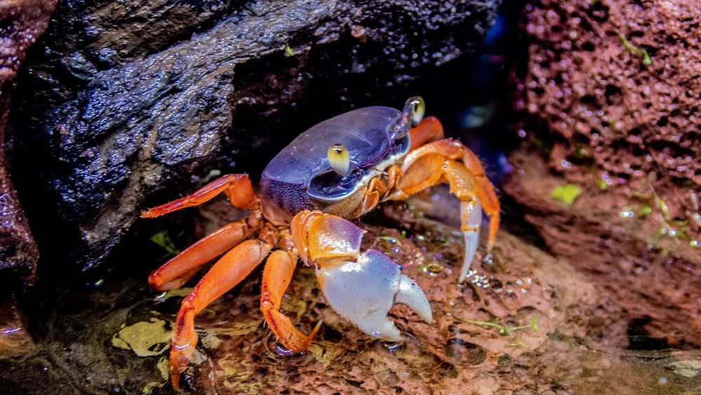 Photograph by Филиппов Олег