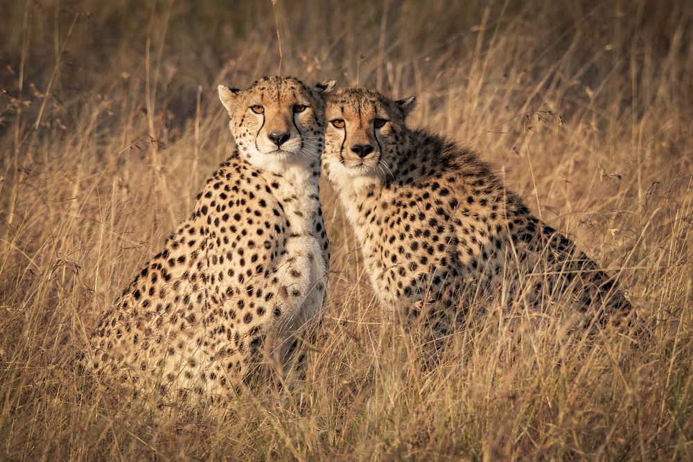 Photograph by NATALIA GOUSSEVA