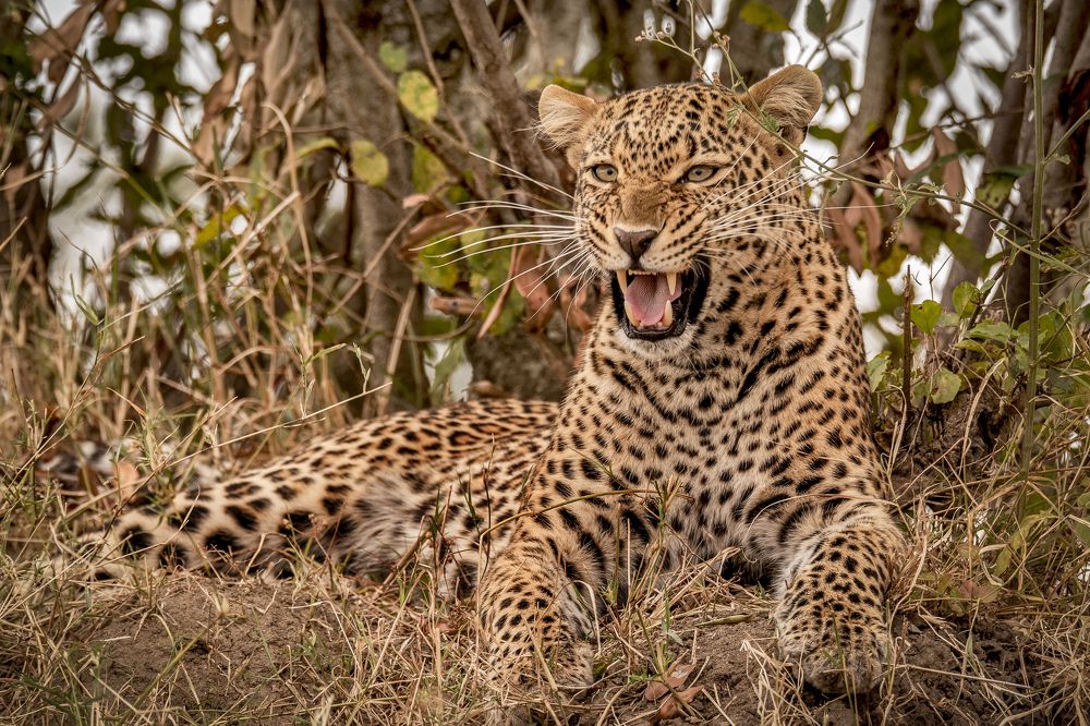 Photograph by NATALIA GOUSSEVA