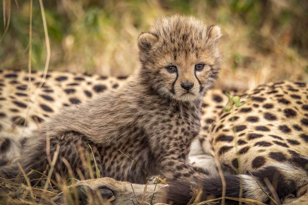 Photograph by NATALIA GOUSSEVA