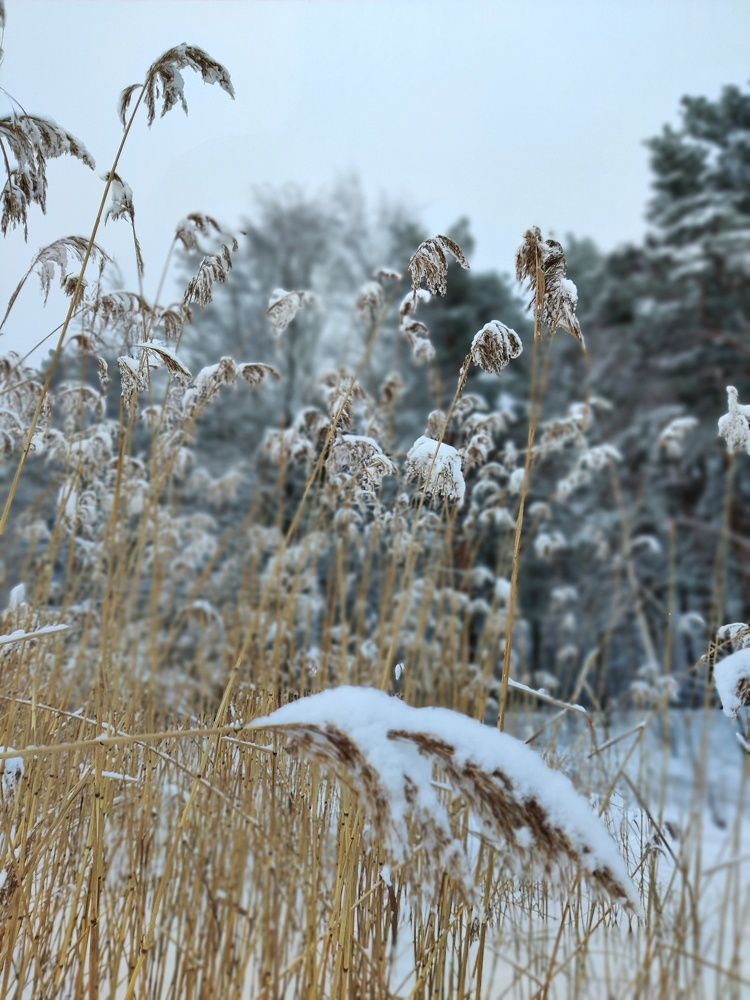 Photograph by Anastasia Uraeva