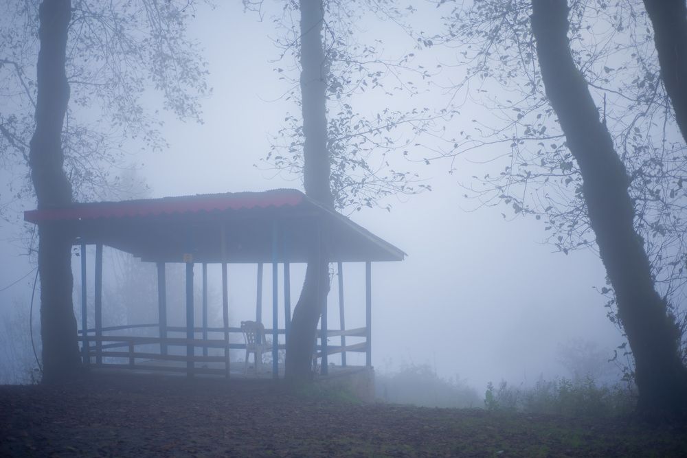 Photograph by Reza Mohammadi