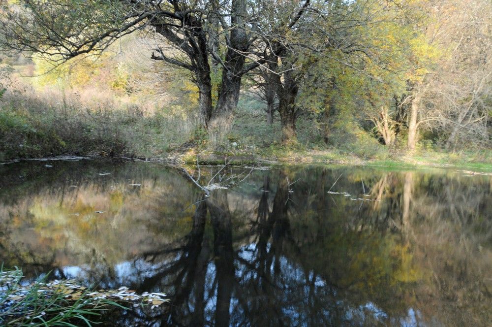 Photograph by Ольга Шевцова