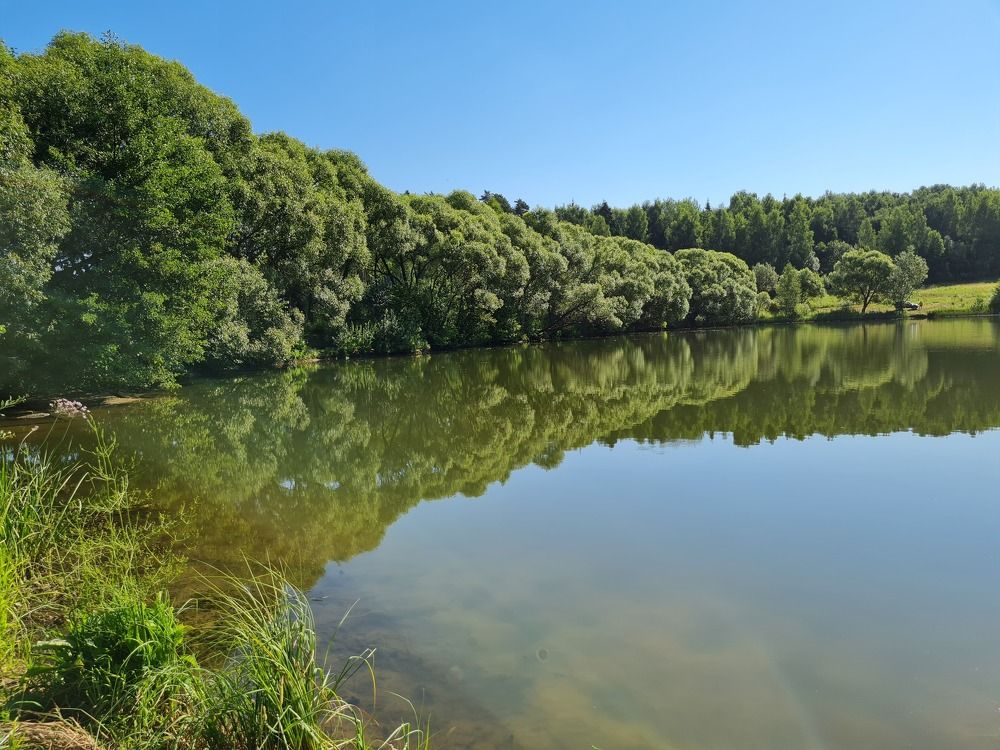 Photograph by Мария Владимировна