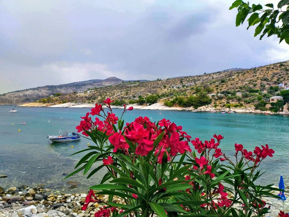 Photograph by Vitalie