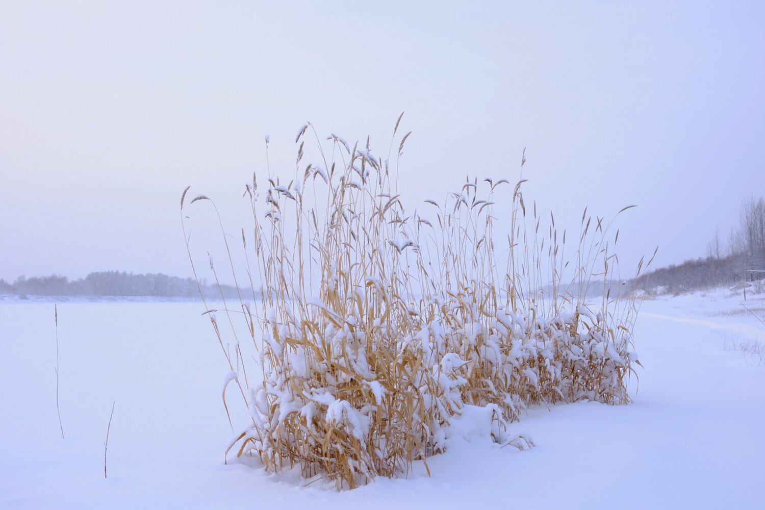 Photo #6873891