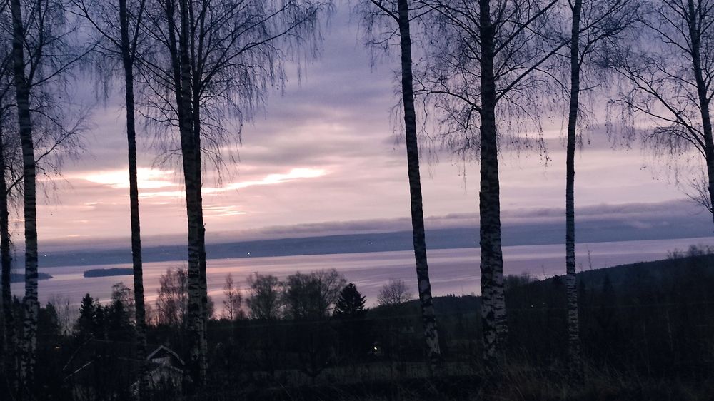 Photograph by Zanna Stalidzāne