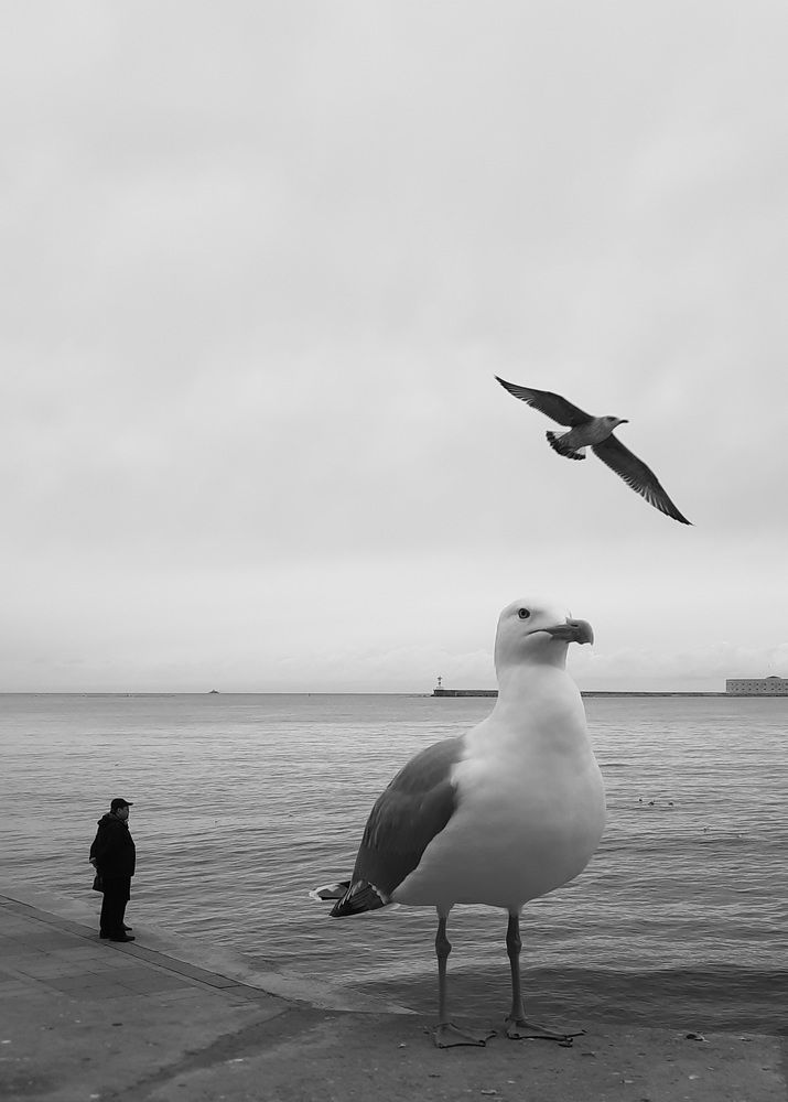 Photograph by George Pavlov