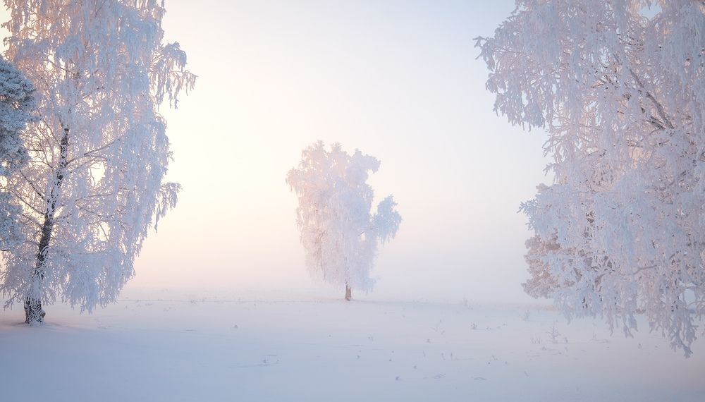 Photograph by Константин Леонтьев