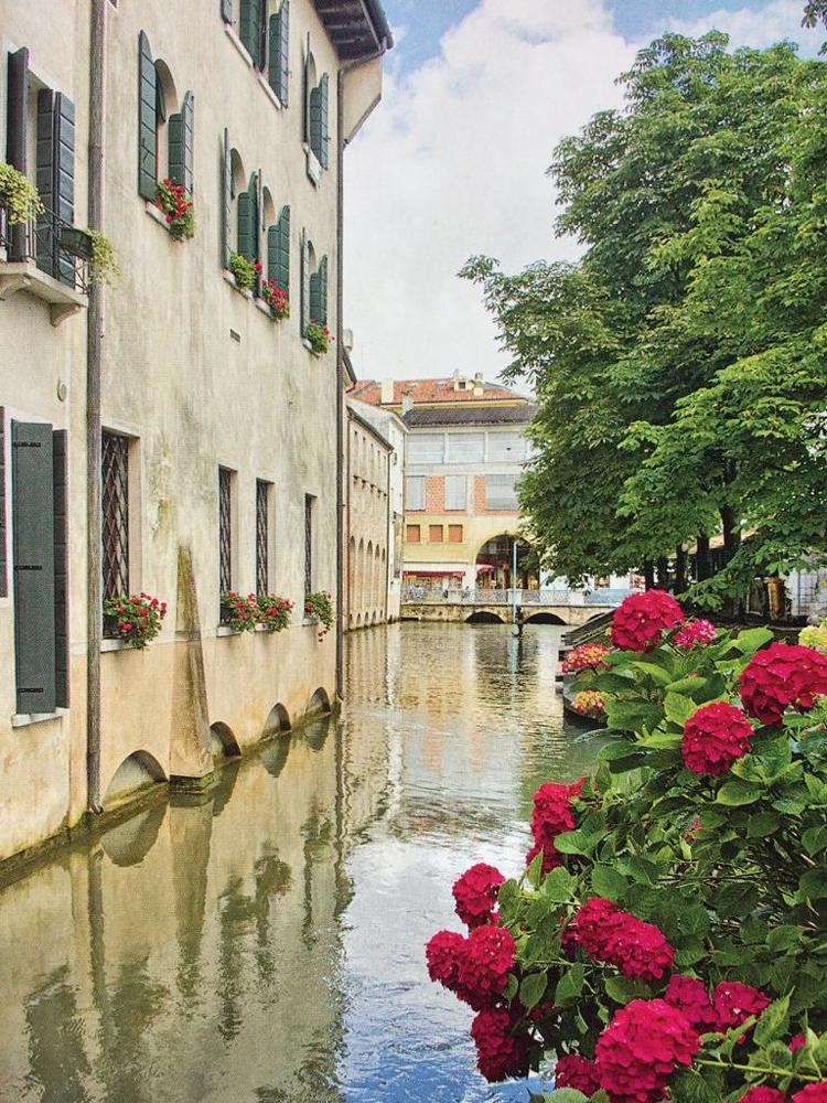 Стрит-мотивы