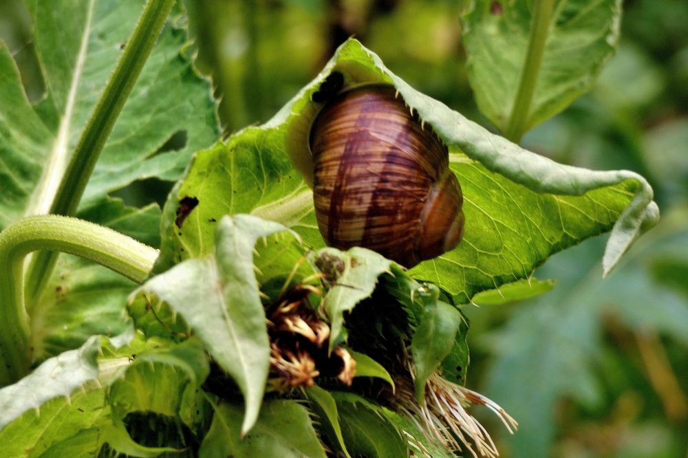 Photograph by backareva irina