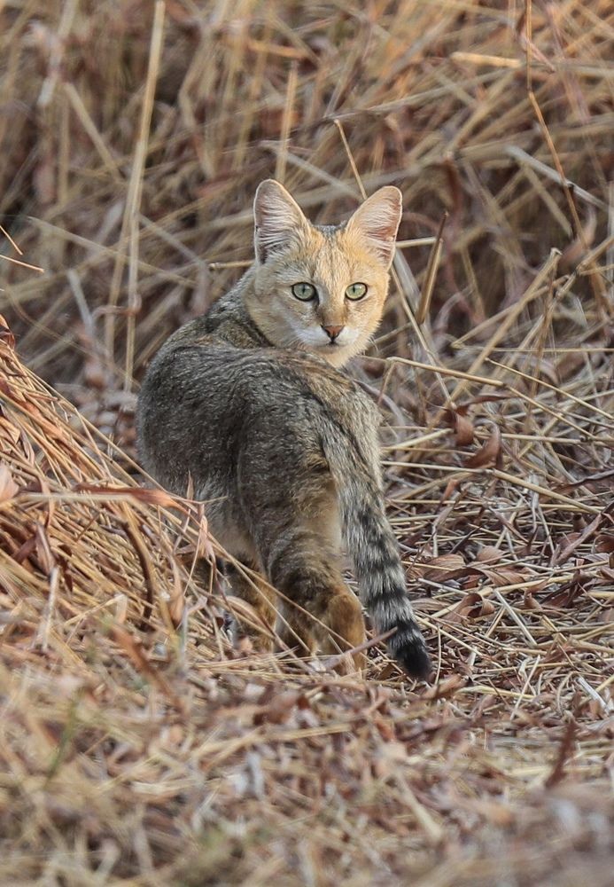 Photograph by Nilesh Tandel