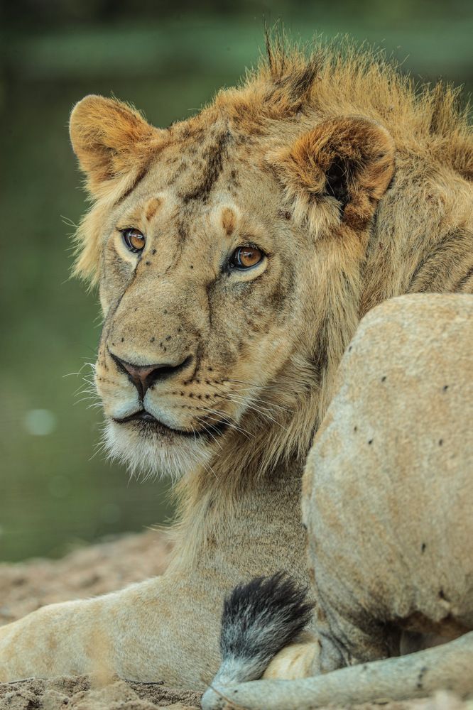 Photograph by Nilesh Tandel