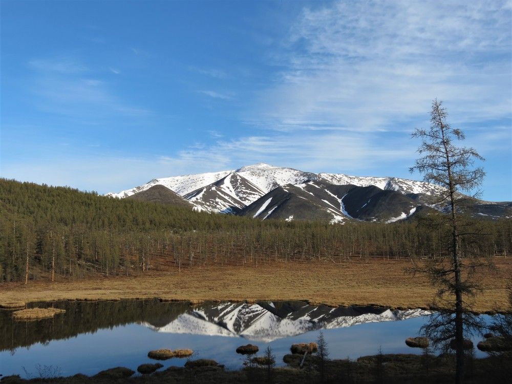 июнь на Колыме