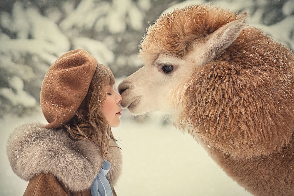 Photograph by Елена Грушецкая