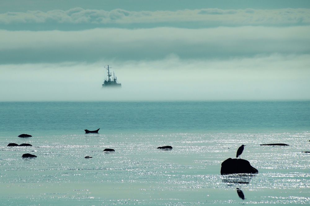 Photograph by Ирина Щеглова