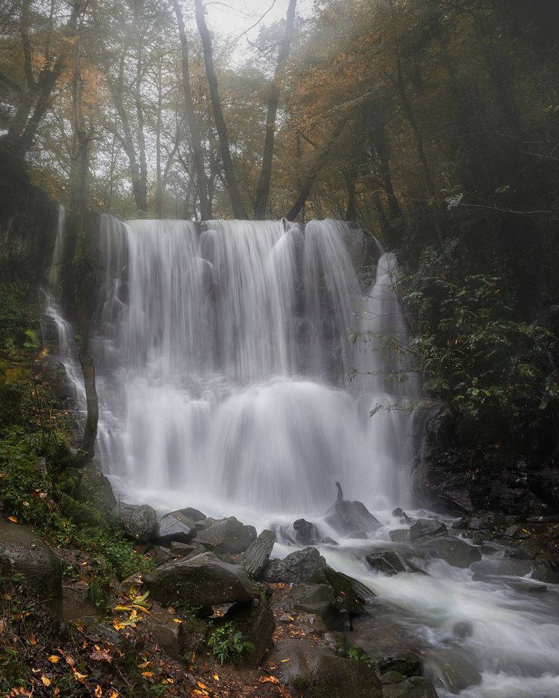 Фотография автора Ali Rouhi