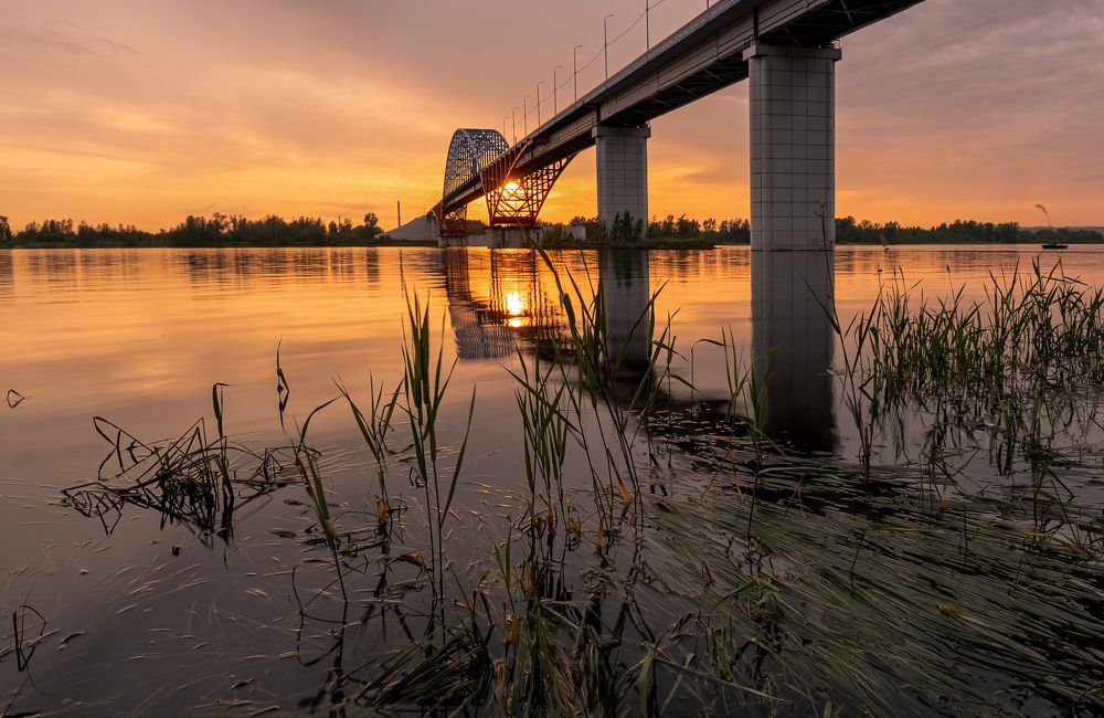 Photograph by Марина Фомина