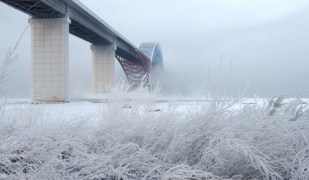 Photograph by Марина Фомина