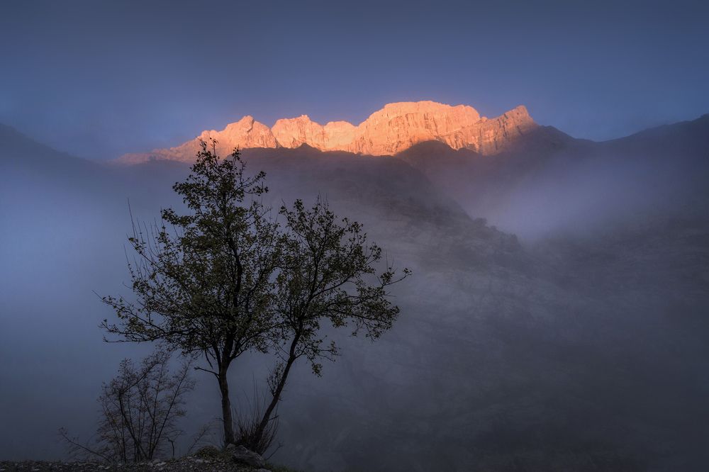 Photograph by Ahmad Mostafapour