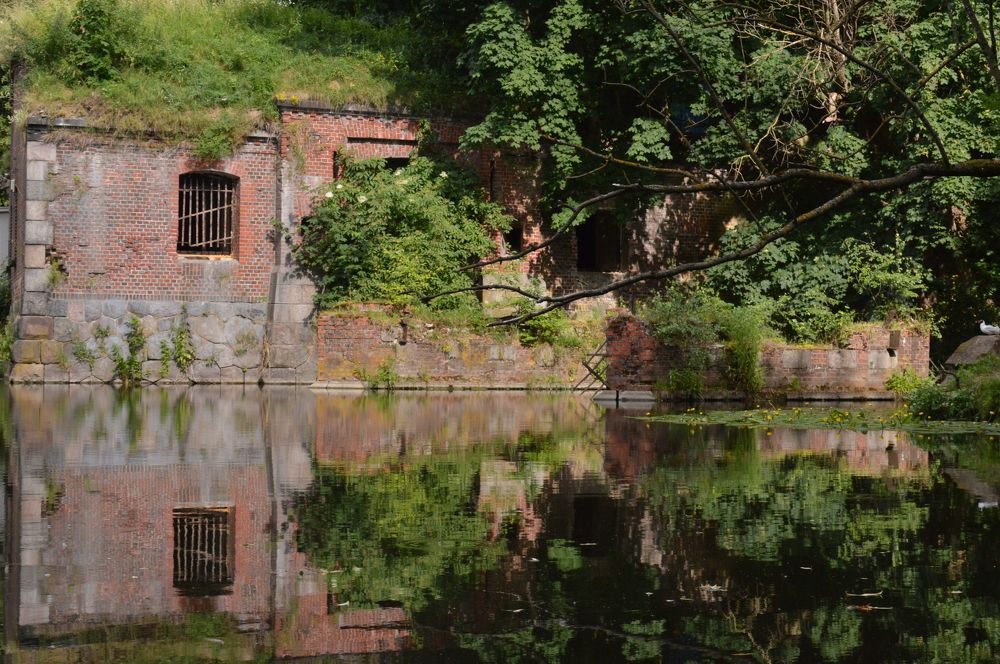 Photograph by Ольга Шевцова