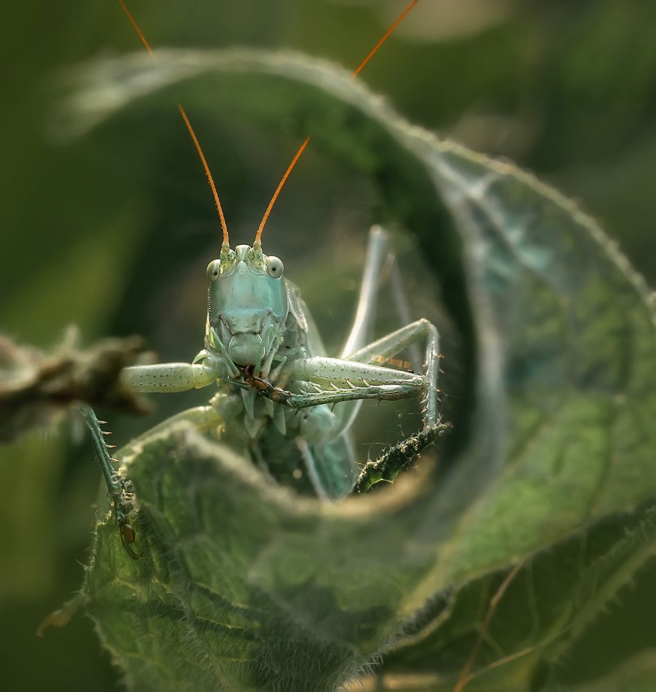 Photograph by Тарасова Ольга