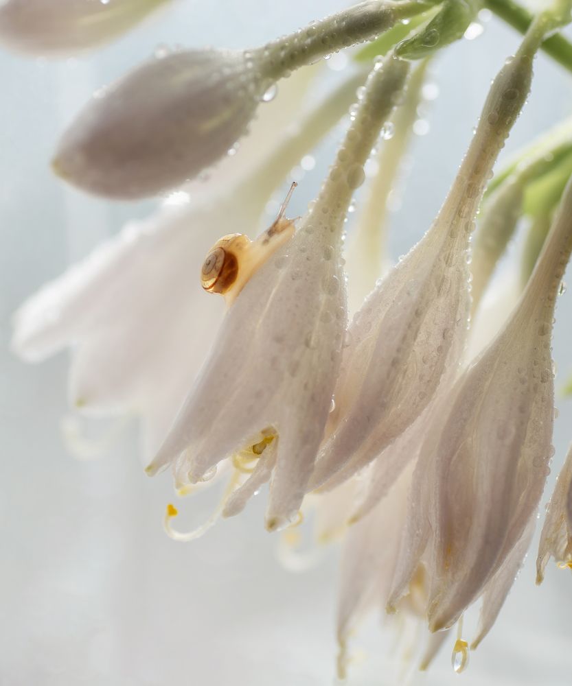 Photograph by Тарасова Ольга