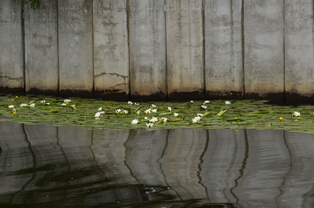 Photograph by Людмила Воропаева