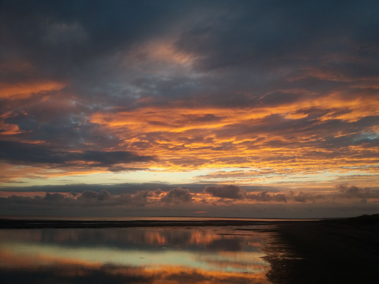 Photo #6874469