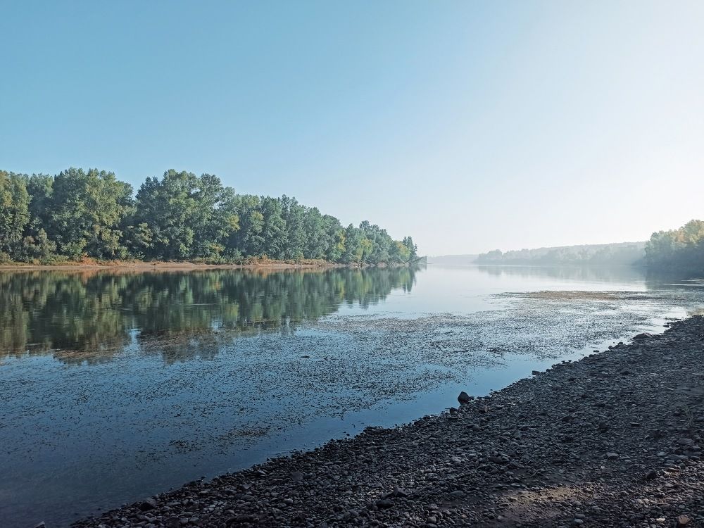 Photograph by Natalie Dmay