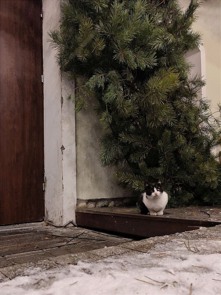 Одиночество