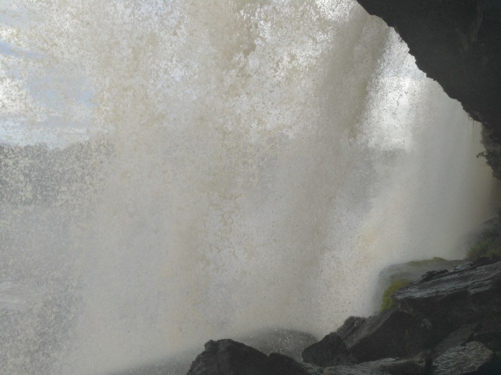 Photo #6874561