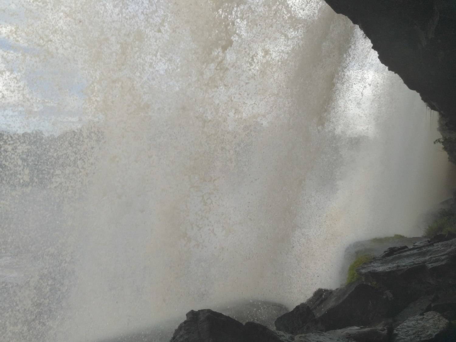 Photo #6874561