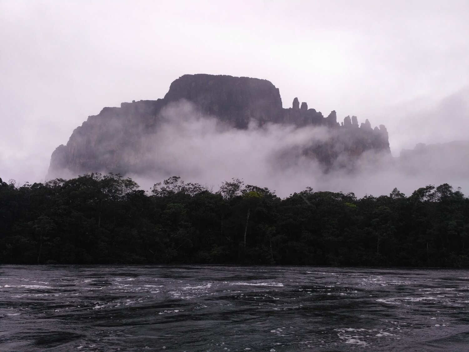 Photo #6874580