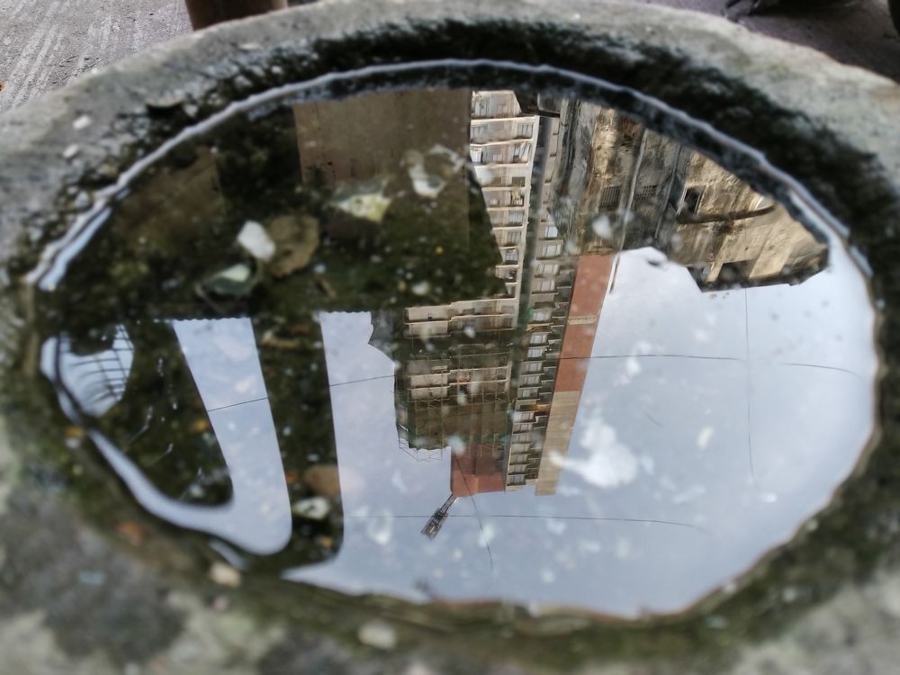 Photograph by Amogh Sagwekar