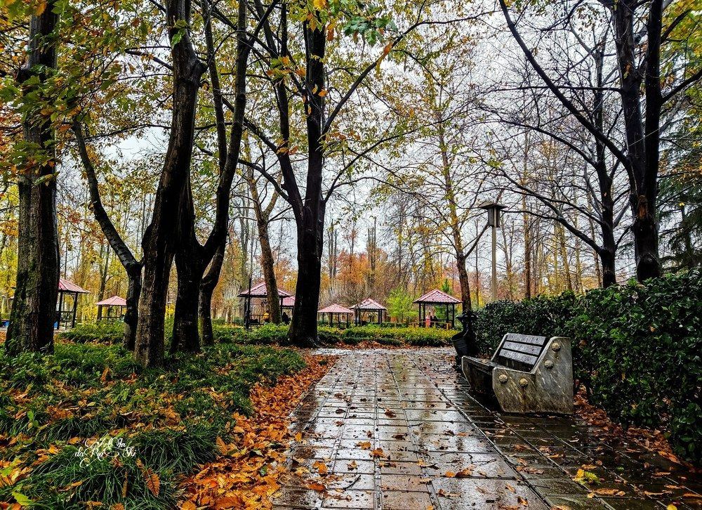 Photograph by ArtIn darvishi