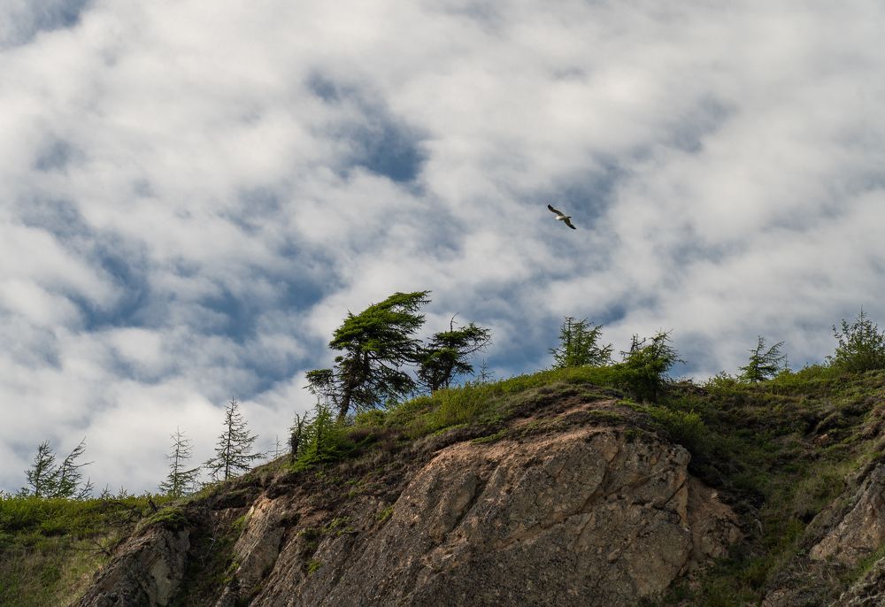 Photograph by Наталья Филатова