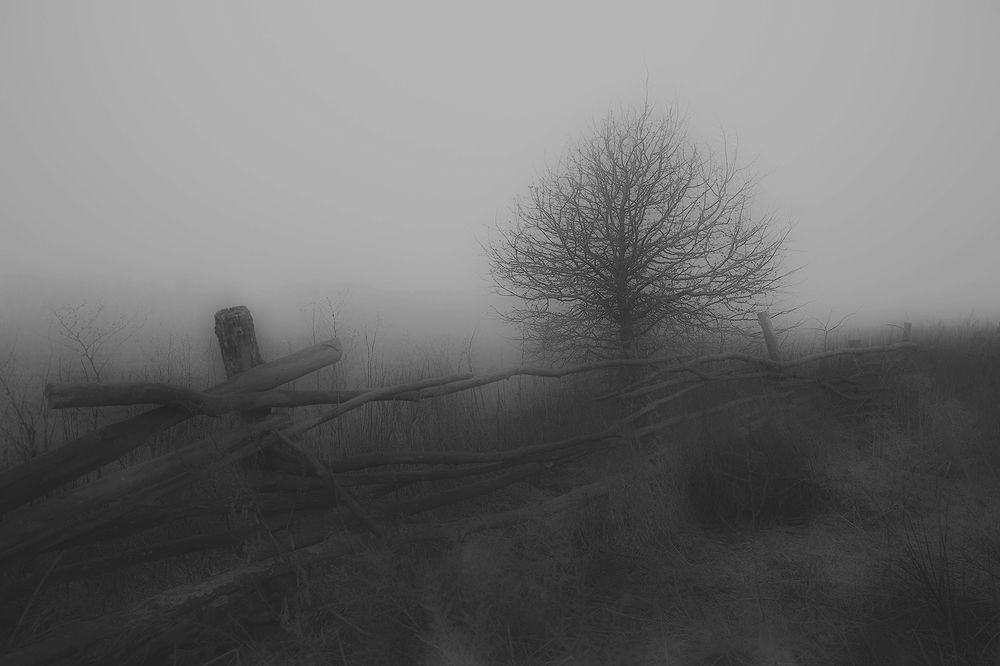 Photograph by Николай Скользнев