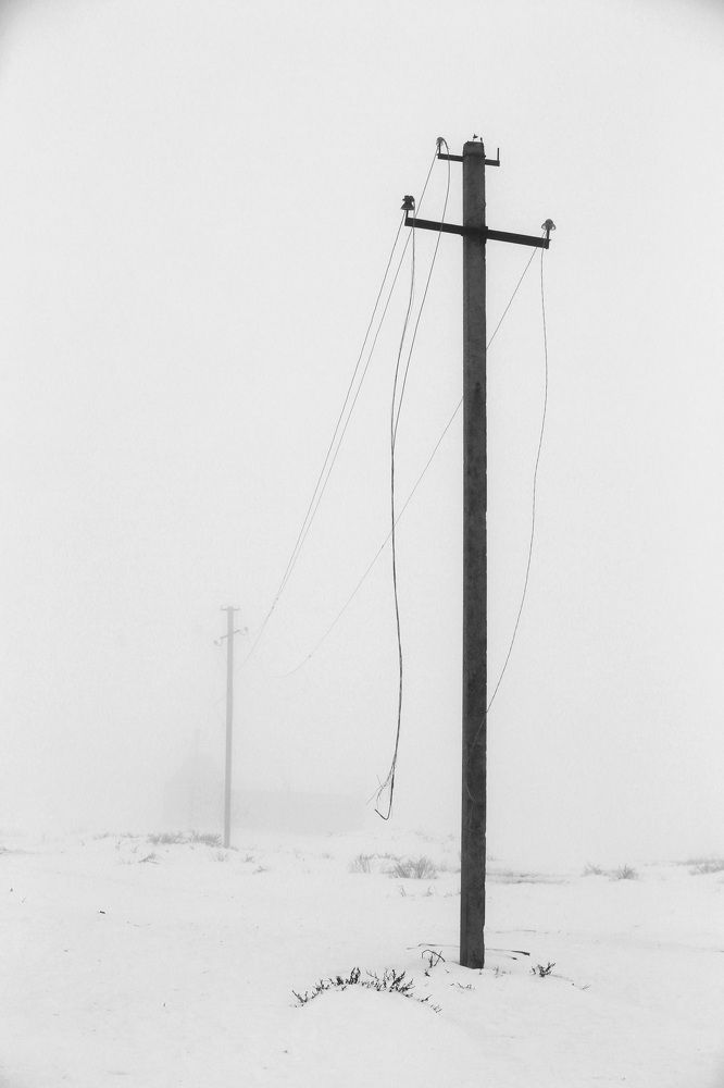 Photograph by Николай Скользнев