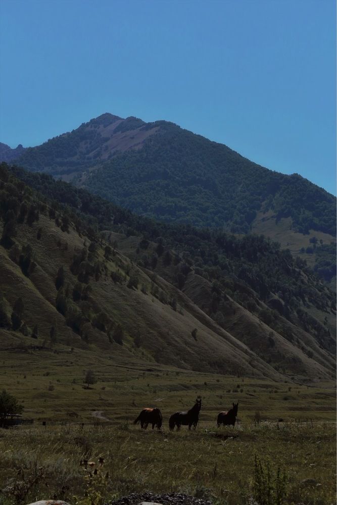 Photograph by Алина