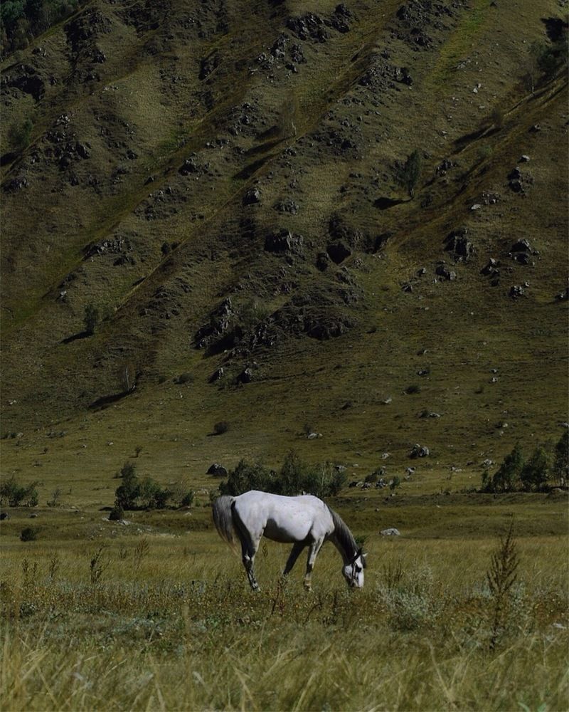 Photograph by Алина