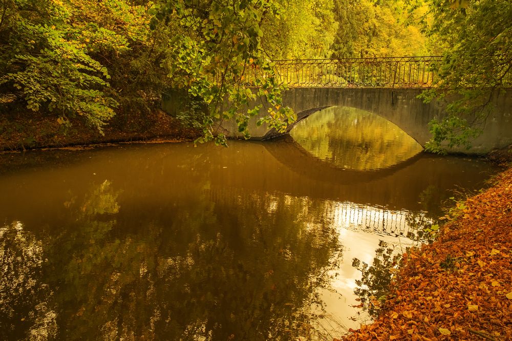 Photograph by Виктория Солодар