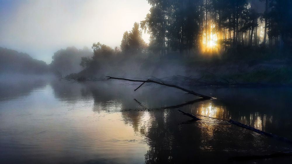 Photograph by Alex Yudnikov