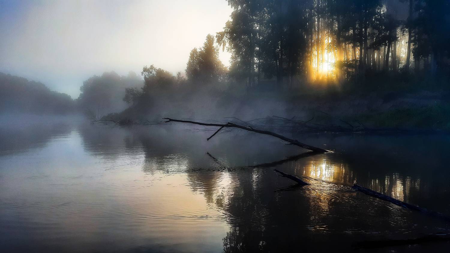 Photo #6874833