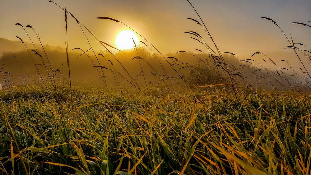 Photograph by Alex Yudnikov