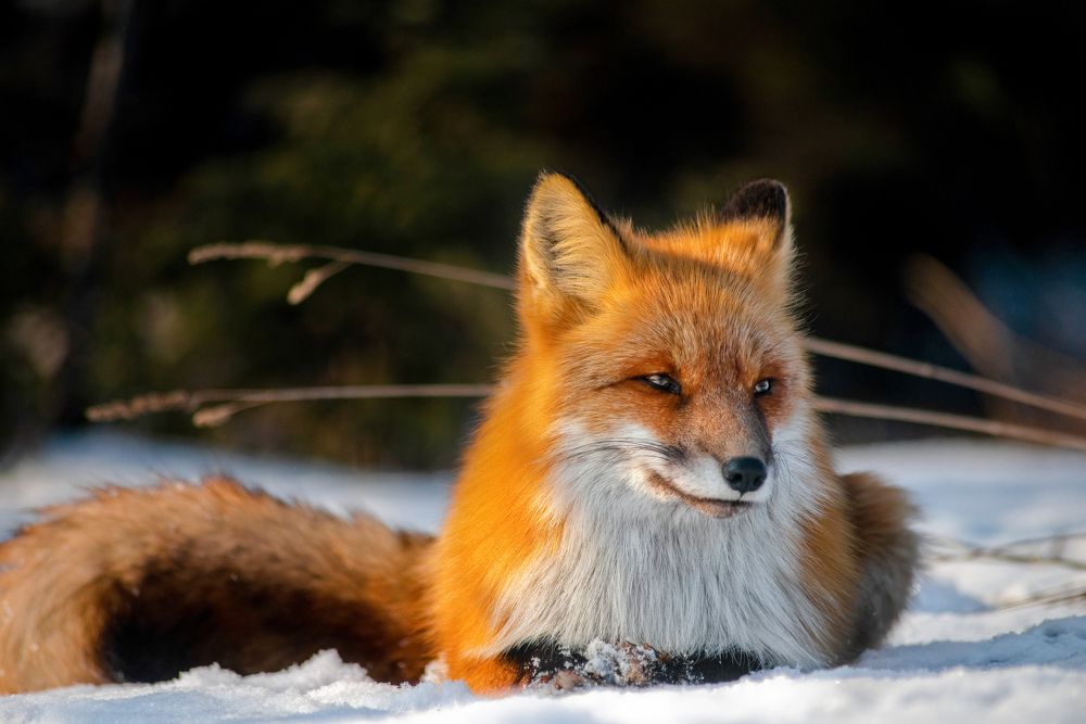 Photograph by Вероника Романенко
