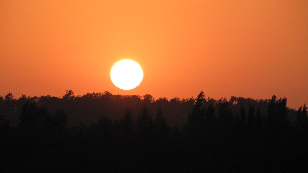 Photo #6874861
