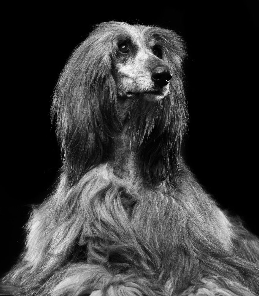 Photograph by Анна Мандрикян