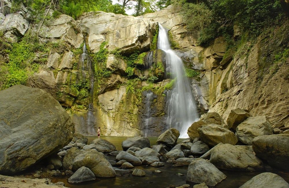 Фотография автора Татьяна Добровольская
