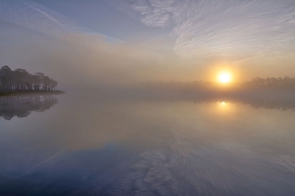 Beautiful foggy morning